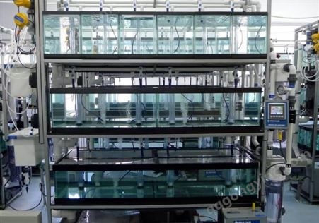 上海厂家生产销售 鱼类毒理实验养殖系统  四层双排斑马鱼养殖系统