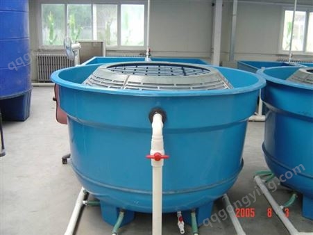水产养殖孵化器 锥桶式孵化器 大型鱼池