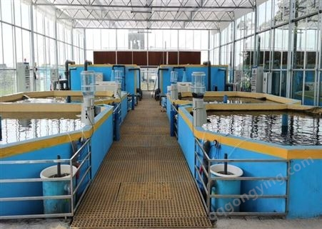 （渔雅）工厂化循环水养殖系统 淡海水、高密度经济鱼类养殖设备 配蛋白质分离器 砂缸