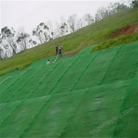宝鸡 三维植被网厂家供应 三维植被网护坡施工