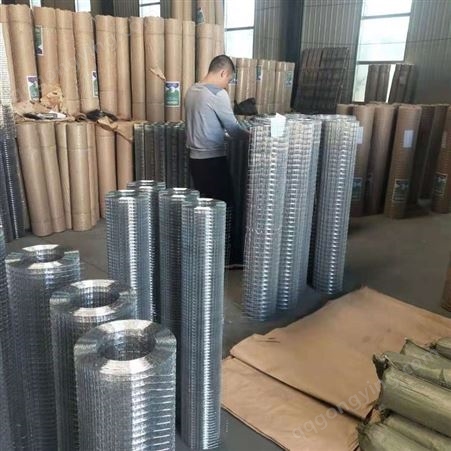 厂家现货 镀锌电焊网 挂丝网 外墙保温金属网 批发价格