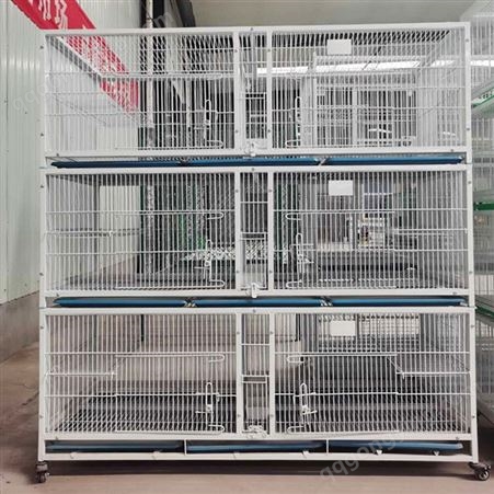 尊迈 鸽笼 鸽子养殖笼 网片式鸽笼 带食盒 加大空间 1.5cm加密网孔 防黄鼠狼 带平台架