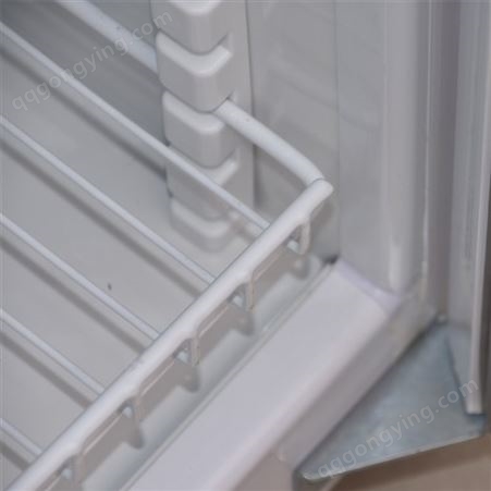 成都 食品留样柜冷藏保鲜幼儿园带锁餐厅食堂家用小冰箱商用展示留样柜