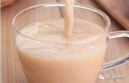 韶关奶茶原料批发 供应乳酸菌