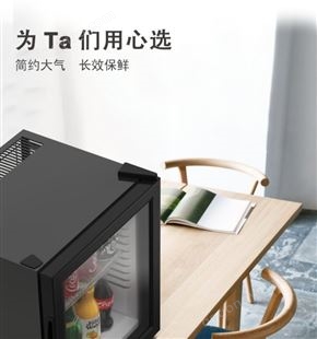 三门峡 台式小冰箱会所 单位家庭用放茶叶水果小冰箱