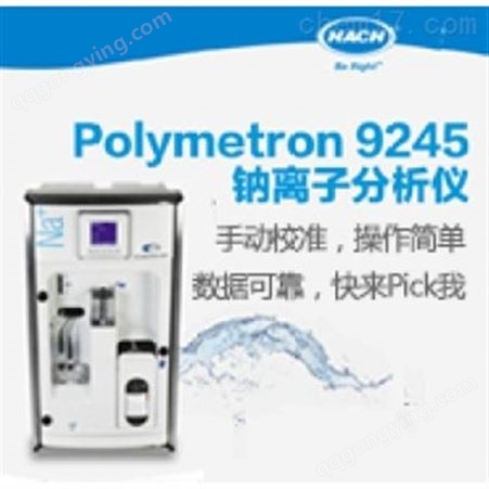 哈希Polymetron 9245 钠离子分析仪