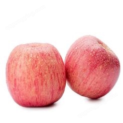 一吨苹果放冷库成本 红富士苹果一斤价格 代收苹果 销售