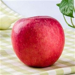 红富士苹果甜度高 买冷库储存苹果利润如何