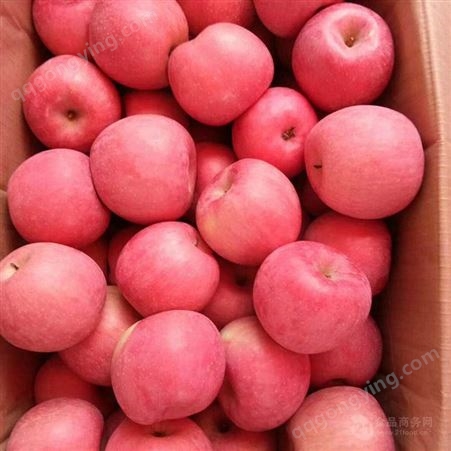 红富士苹果市场价格 3小时前栖霞苹果价格