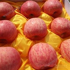 条红红富士苹果 疫情对红富士苹果的影响