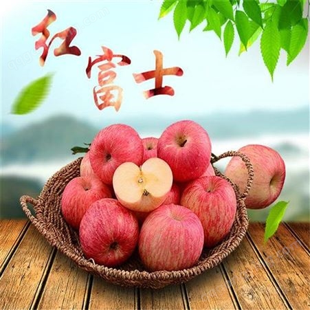 水晶红富士 山东富士苹果价格 红富士苹果供应价格