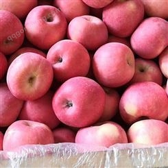 苹果红富士 购买冷库保存苹果利润