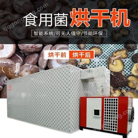 厂家现货供应电加热烘干房 箱式蘑菇烘干机 食品烘干房 格冉