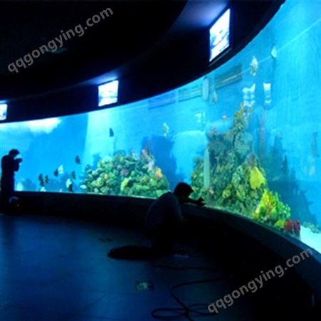 设计亚克力大鱼缸 戏浪大型水族馆工程施工 圆柱型鱼缸定制 海洋馆设计