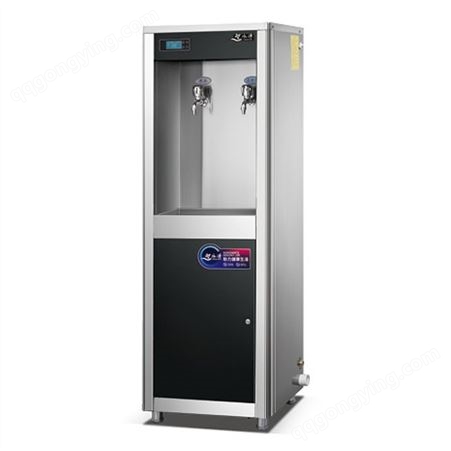 柜式饮水机 ZY-2G 智能净水器 商用 办公饮水机