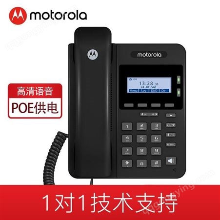 摩托罗拉(Motorola)VOIP 100IP-2 机/电源适配器/固定电话机网络接口