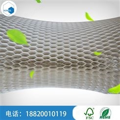 广州塑性蜂窝芯材 PC塑料蜂窝板厂家价格