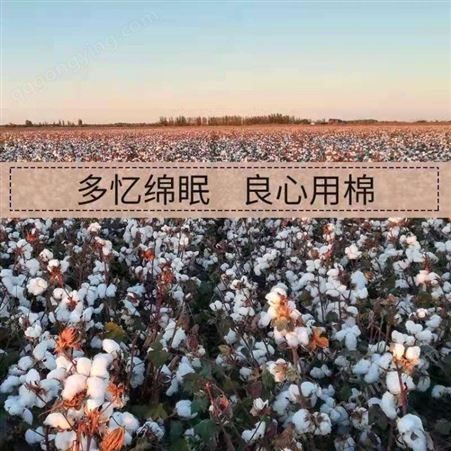 成都本地新疆棉花被 一级优质长绒棉 手工纯棉被定做 冬被全棉