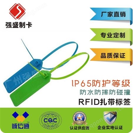 厂家直供RFID扎带标签 超高频铅封标签 固定资产管理标签
