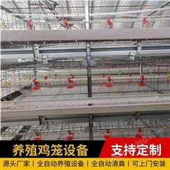 养殖鸡笼设备 三层阶梯式蛋鸡养殖笼 自动化清粪设备 设备