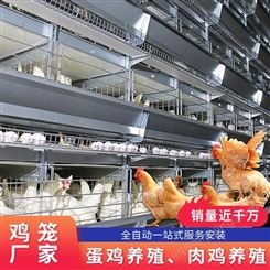 鸡笼现货优惠设备安装一站式肉鸡笼设备鸡笼厂