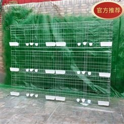 批发3层12位鸽笼养殖鸽笼用品用具 加粗防锈12位子母兔笼 品质保障
