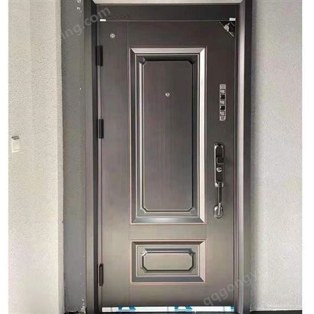 普罗盾防盗进户门家用大门对开门铸铝门德式卡门支持定制子母门