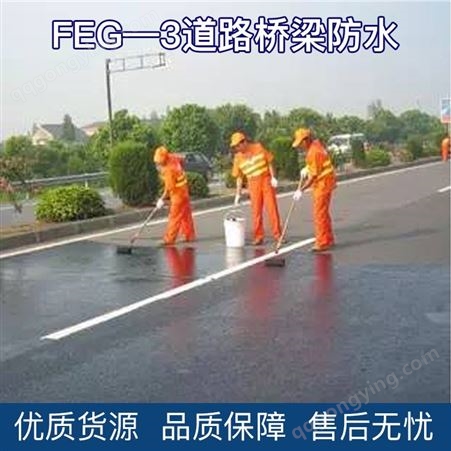 碧家索FEG -3道路桥梁防水涂料