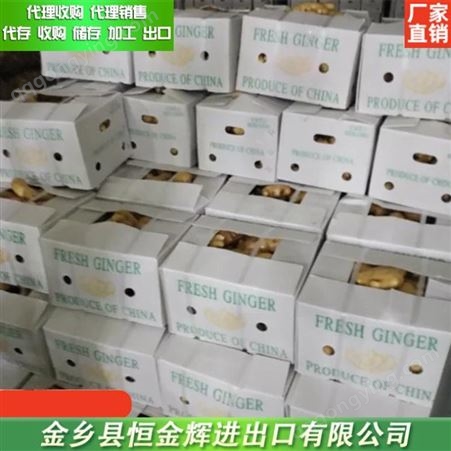 新鲜生姜产地 今日大姜价格安丘市场 大量收购生姜代理销售