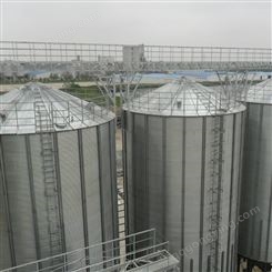 电石渣钢板仓 粉煤灰库 储存装备 可储存粮食 结构