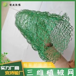 台州三维植被网厂商 土工网