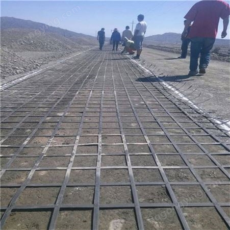 海南钢塑土工格栅蠕变小 铁路地基地基稳固用钢塑复合网
