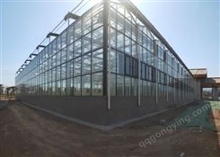 承建玻璃连栋温室大棚 温室大棚 连栋全玻璃温室大棚 蔬菜大棚