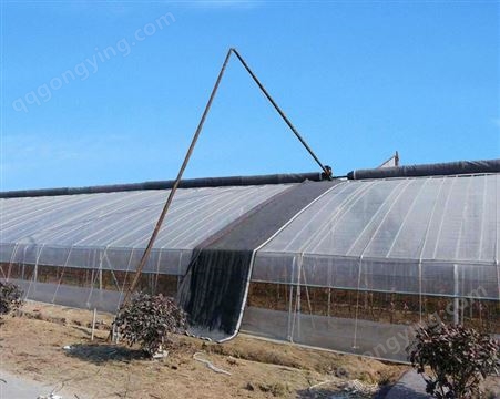 日光温室 蔬菜种植大棚 冬季培育喜温植物 温室大棚承建