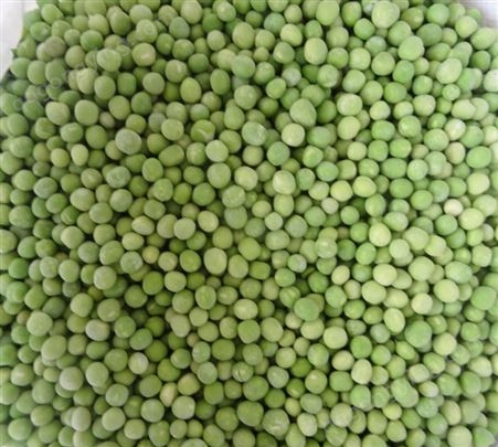 蔬菜沙拉轻食配菜 原材料绿色蔬菜 鼎晖冷冻青豆 产地直发