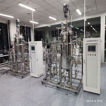 专业发酵罐设计生产厂 订制实验室多联平行发酵设备