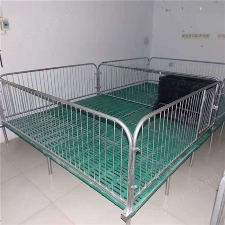 产保两用床 加工 猪用产保一体床 批发 多功能保育产床