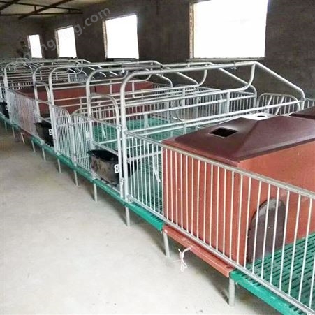 福立畜牧厂家供应 双体母猪产床 双体猪复合产床