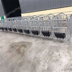猪用限位栏育肥栏 复合漏粪板定位栏 产床用定位栏 支持定制