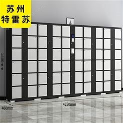 智能装备柜工具储存柜zng-011特雷苏