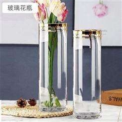 迅想 花瓶北欧风轻奢玻璃花瓶双金边水培植物仿真花玫瑰花插直筒玻璃花瓶3815