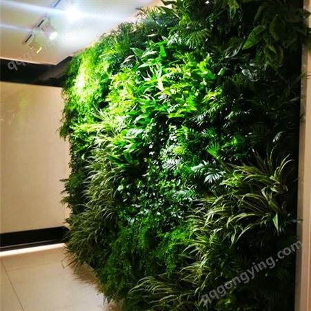 室内墙体绿化 植物墙种植容器 墙面景观绿植盒子提供安装