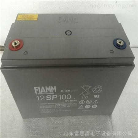 12SP100FIAMM蓄电池12SP100 12V100AH铅酸免维护UPS直流屏蓄电池