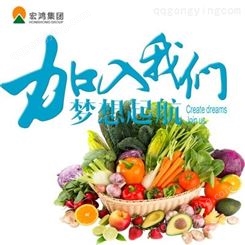 蔬菜生鲜配送 找宏鸿农产品集团 【全品类*】