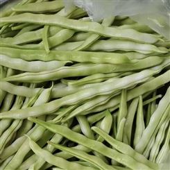 邯郸市现货芸豆批发 四季豆批发 宏远果蔬 新鲜蔬菜 便于运输